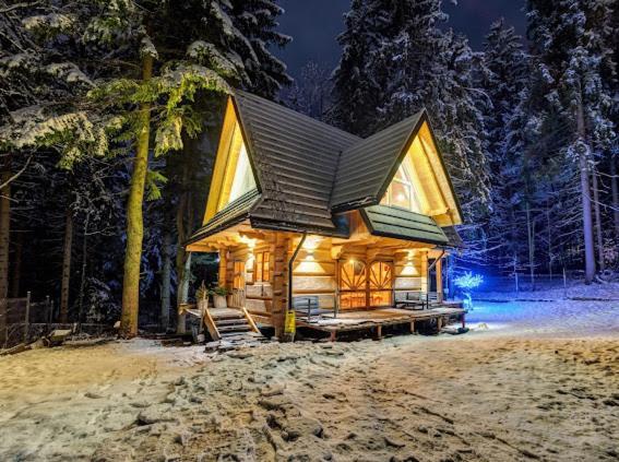 Chata Pod Nosalem - Domek Z Jacuzzi Z Bala W Zakopanym Zakopane Zewnętrze zdjęcie